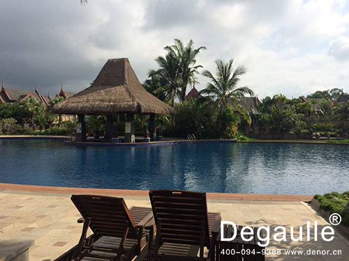 戴高樂泳池水處理設備